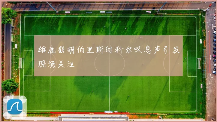 雄鹿截胡伯里斯时科尔叹息声引发现场关注